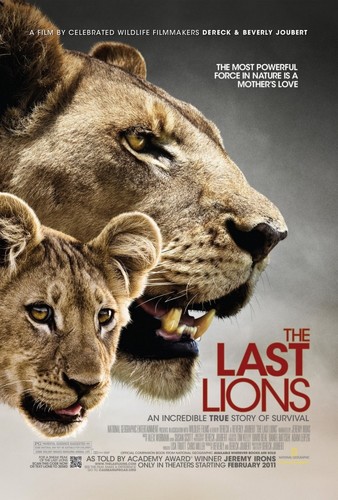 фильм უკანასკნელი ლომები (ქართულად) / The Last Lions / Ukanaskneli Lomebi 